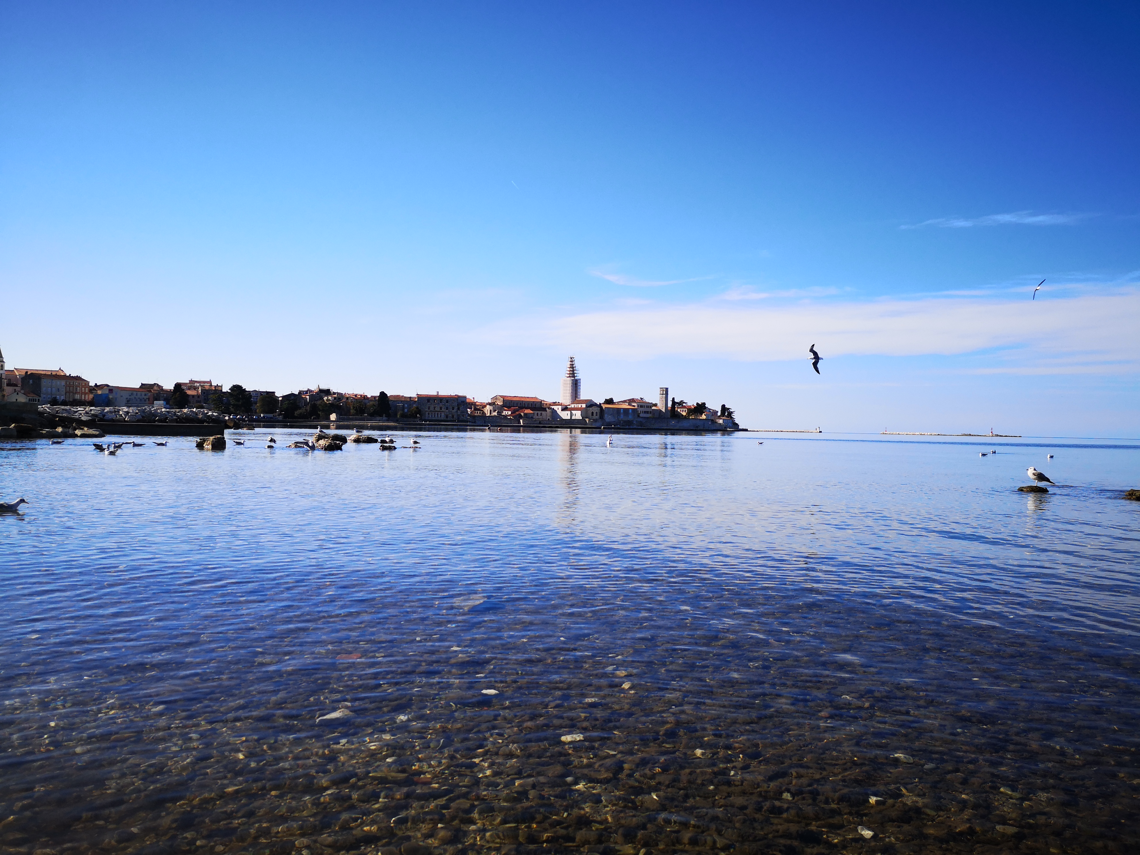 Poreč old town view